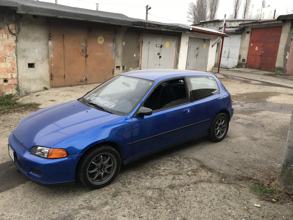 Солодкий розпродаж... 2
