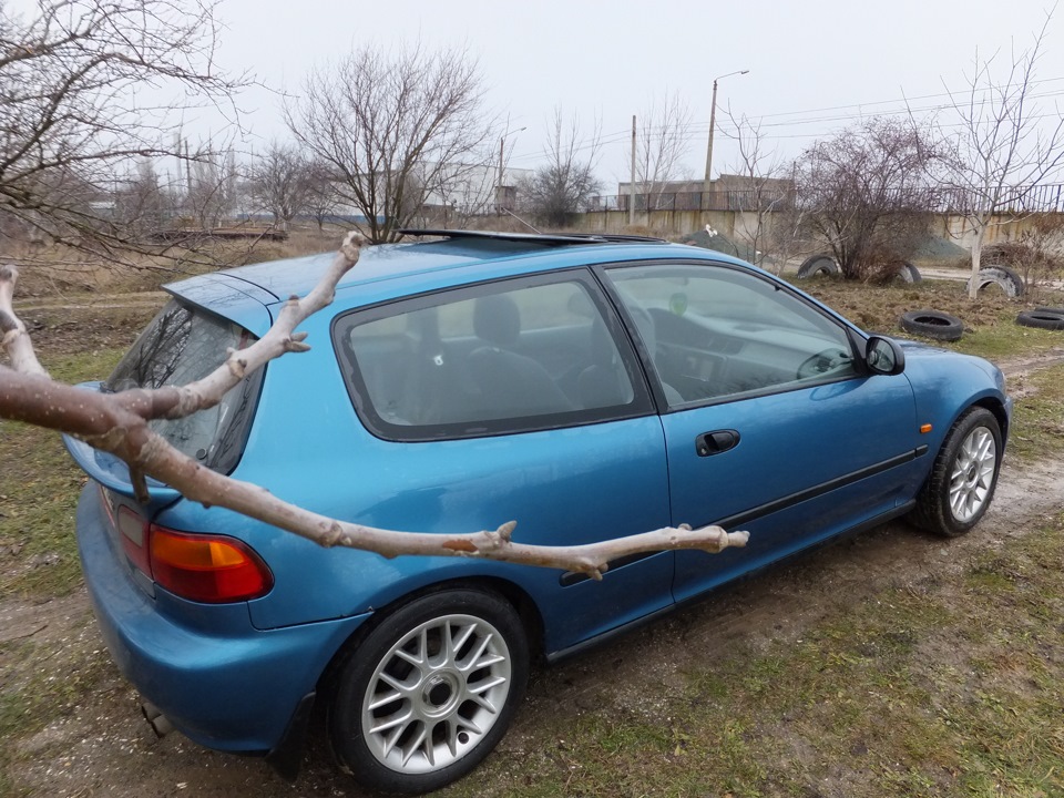 More Photos 4