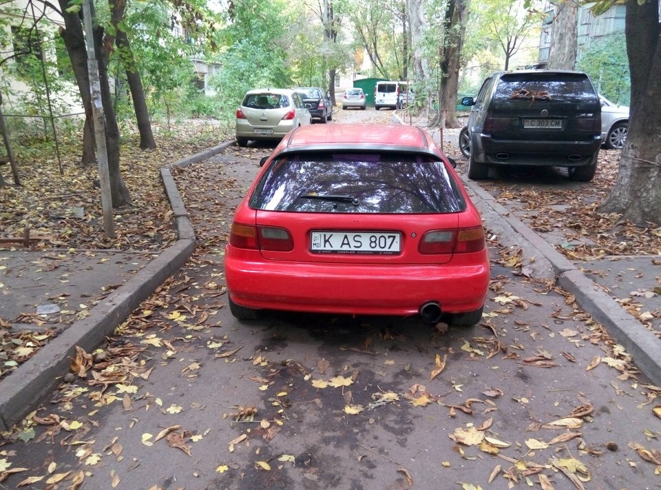 Малярка 4