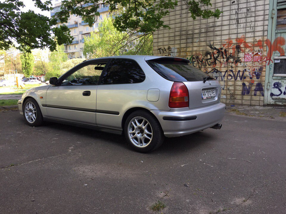 type-r обважування 4