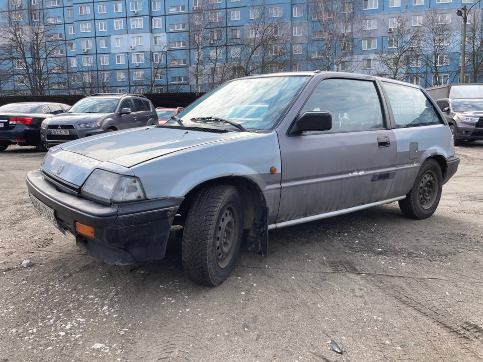 Фарбування 4