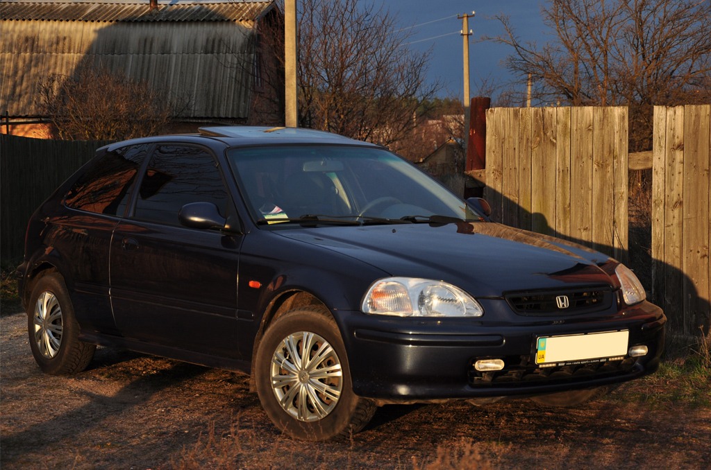 Осінній ліс & Honda 2