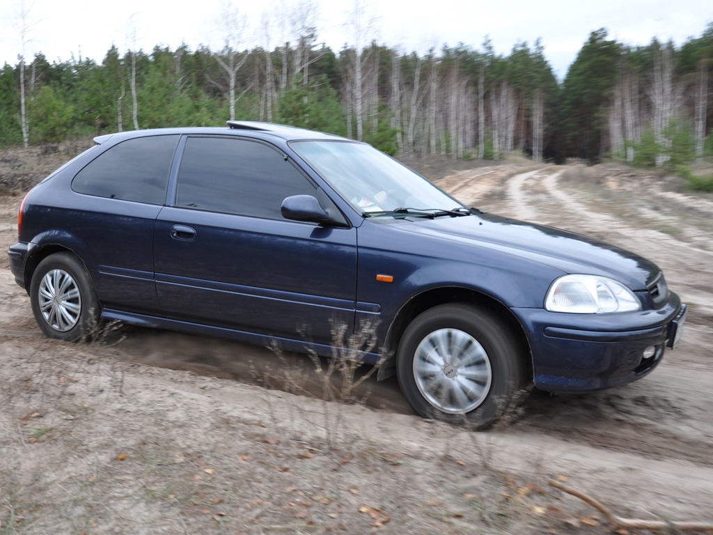 Осінній ліс & Honda 4