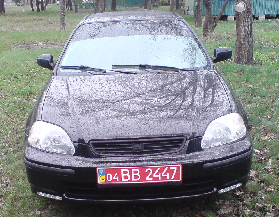 Фотографія 3