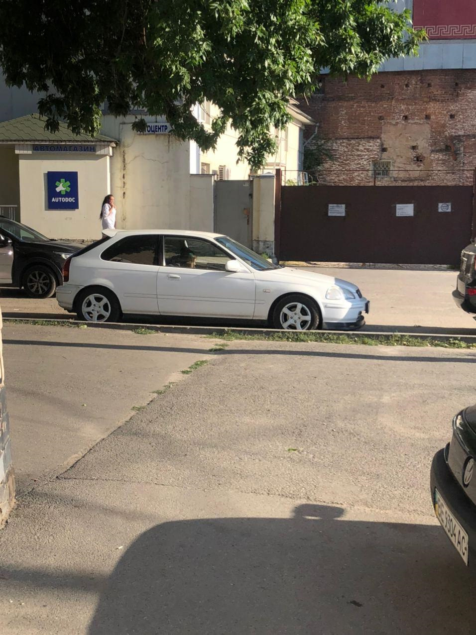 Установка койловерів maxspeeding rods + передній стаб 22мм 3