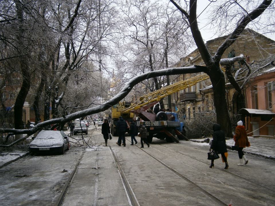 Тепер точно приїде донор))) 5