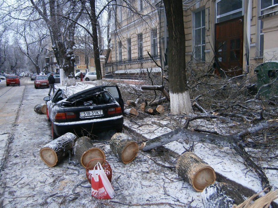 Тепер точно приїде донор))) 4