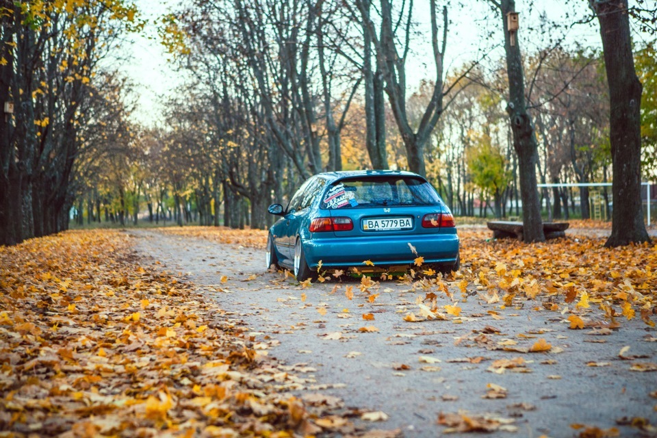 дрдрдрддррддрдрдр 3