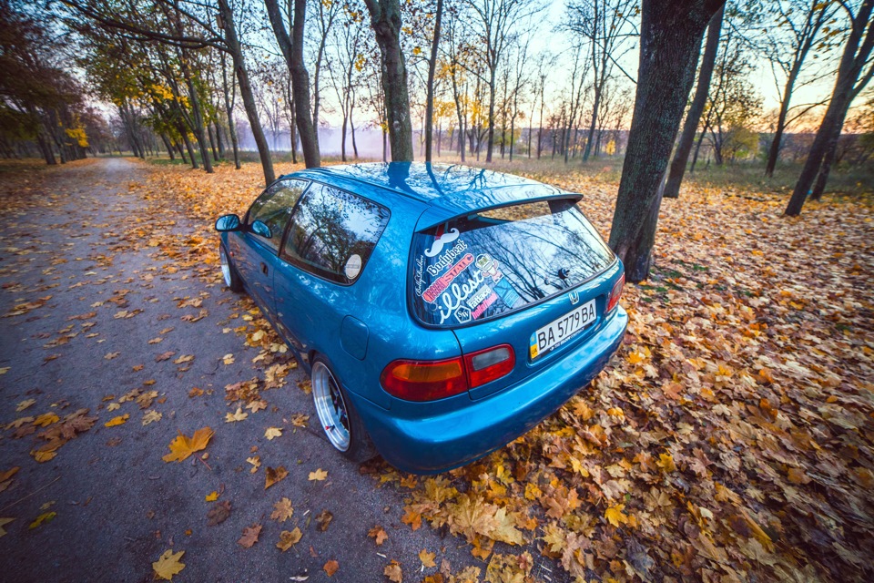 фотосессет) 5