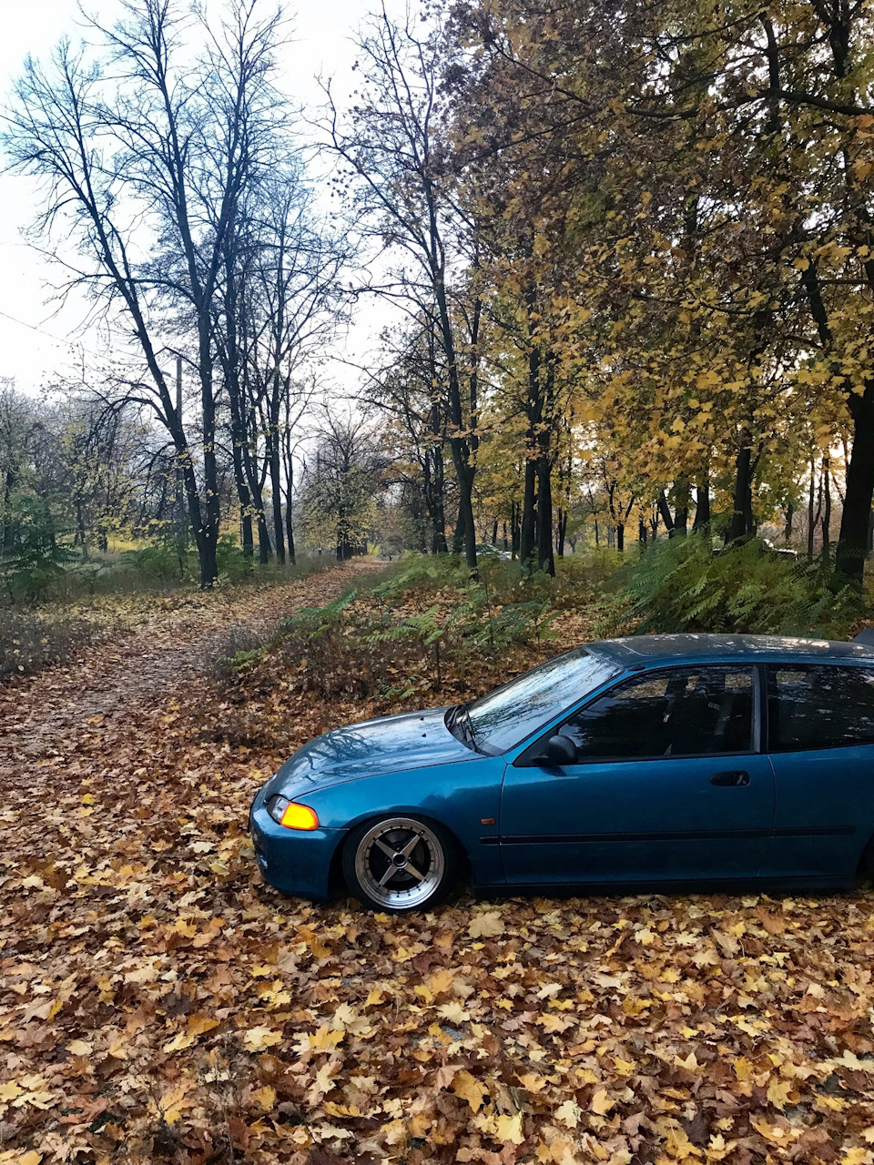 Осінь 🍂 4