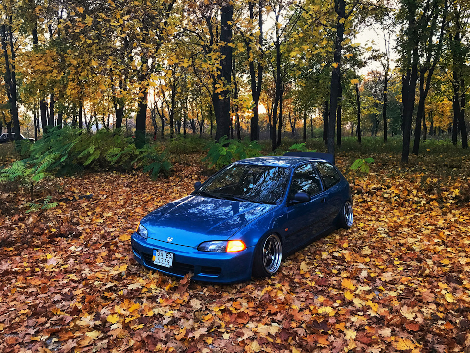 Осінь 🍂 2