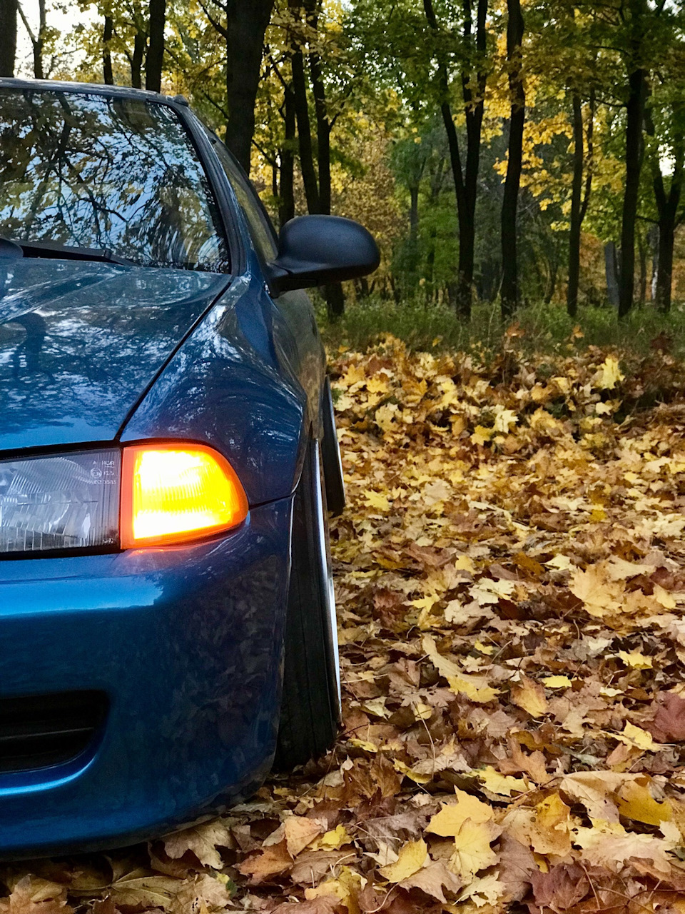 Осінь 🍂 5