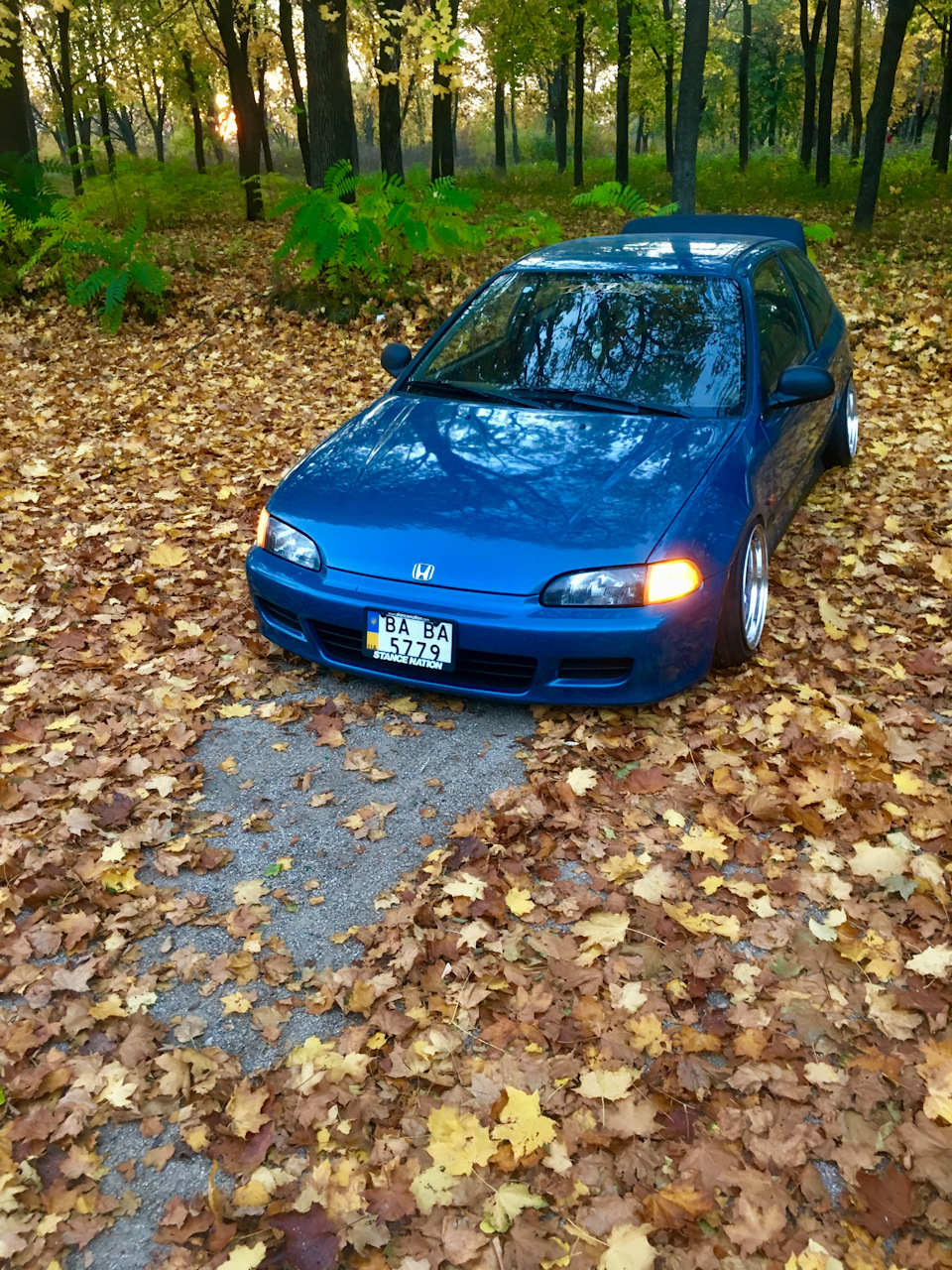Осінь 🍂 1