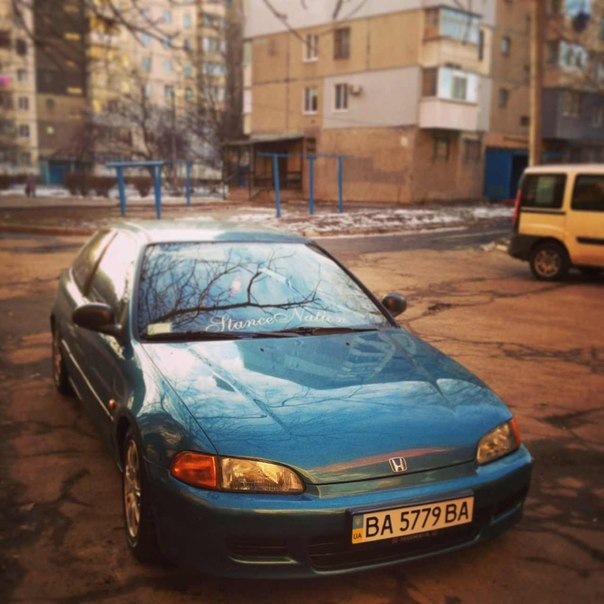 Перше фото сива в 2013)) 1