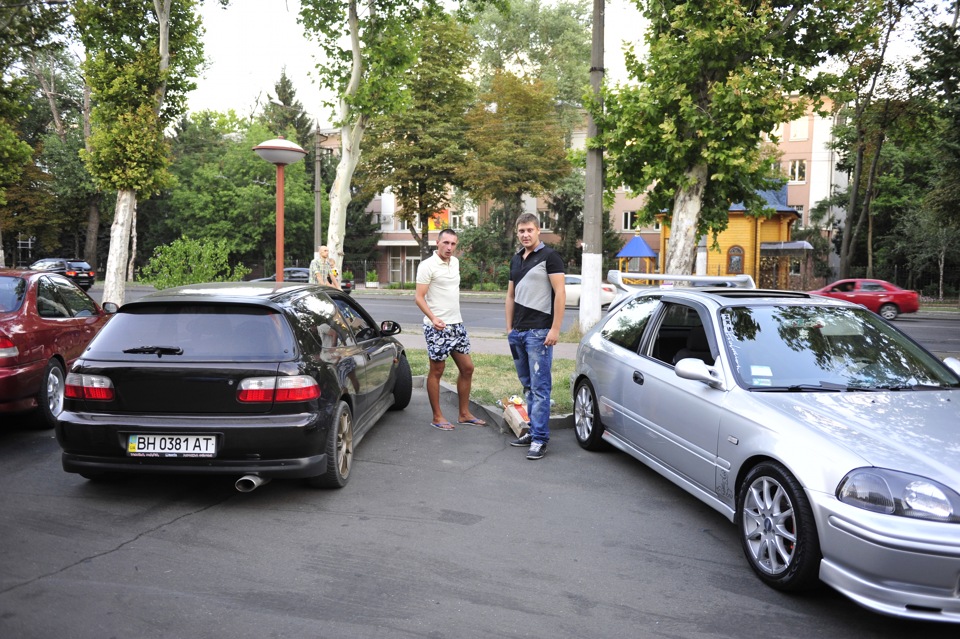 Східняк сивіководів) 3