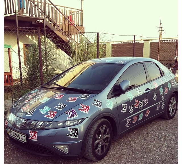Рішітка радіатора R-Series 1