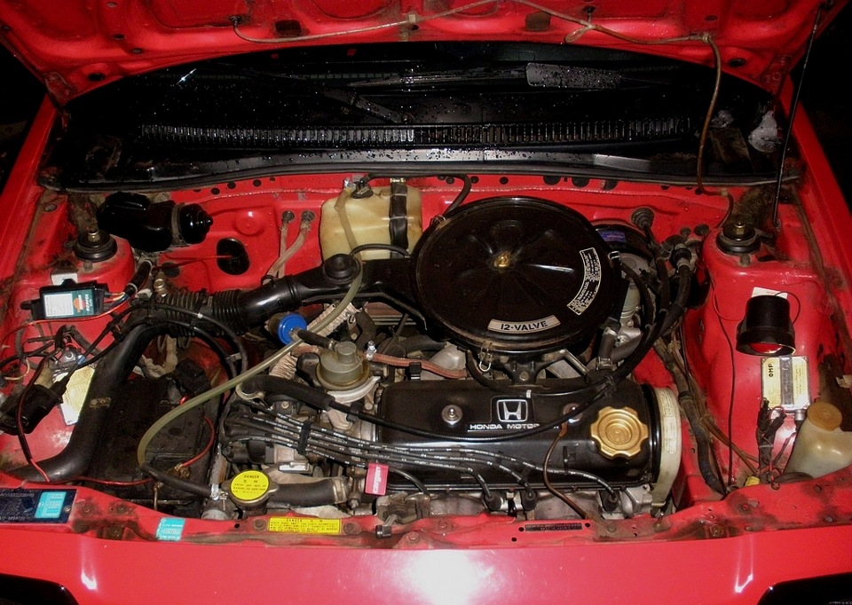 XENON OMP 4