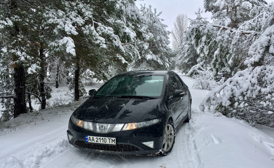 Ділясь красою природи 1