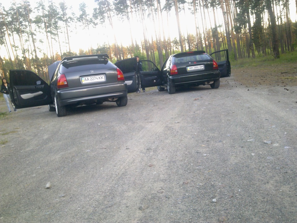 пара сивиків 4