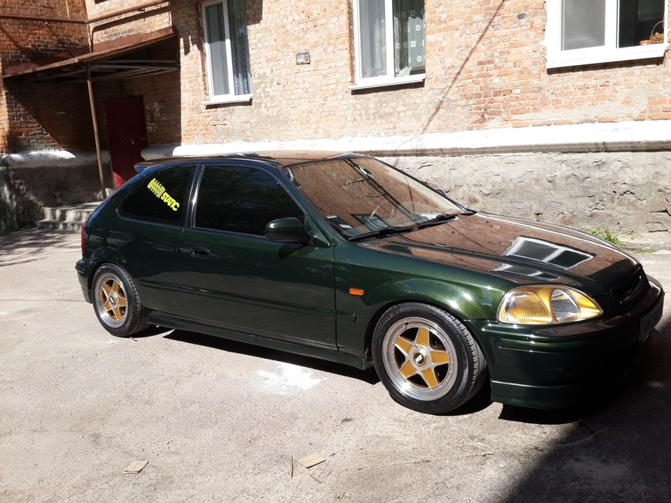 Сівік шукає нового господаря! 2