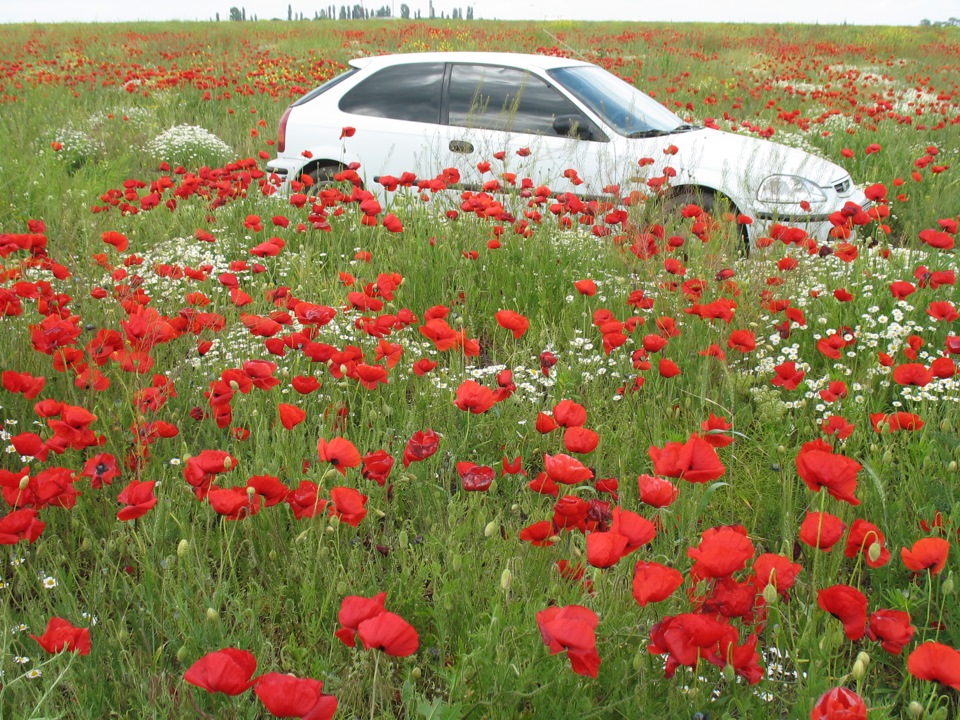 2008 - Покупка, перші враження 3