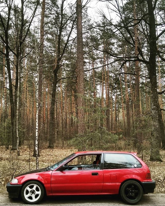 AP Coilovers 1