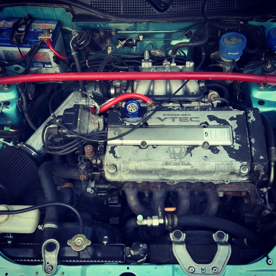 Свіжі фото + розпірка.
