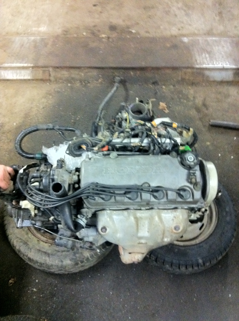 Тепер VTEC 3
