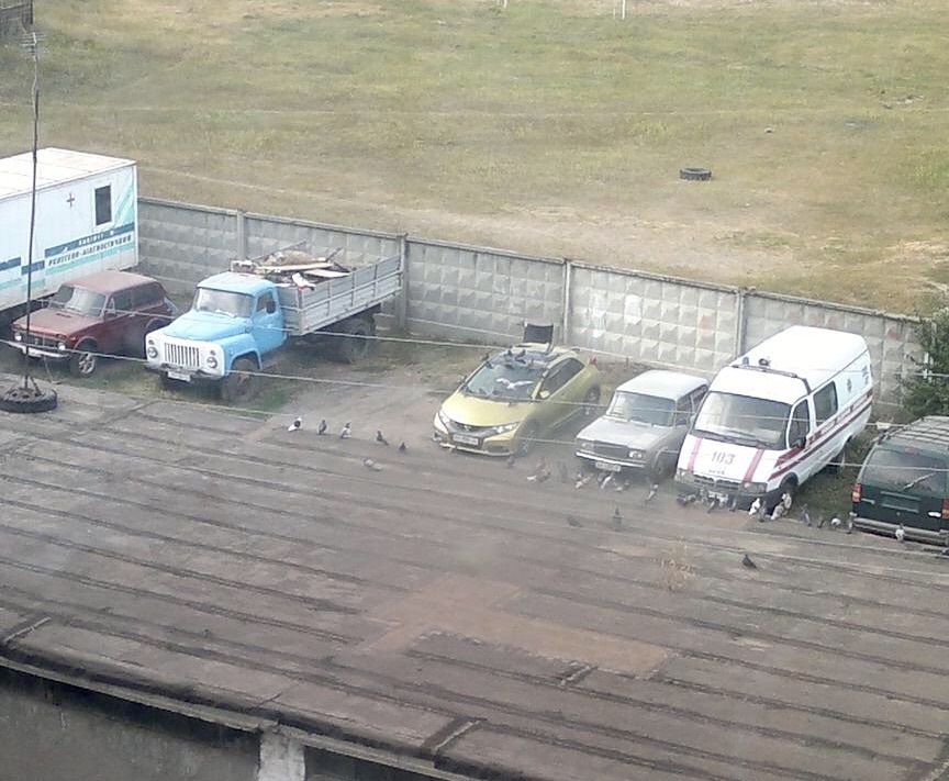 Е-травень, і голуби Ципу люблять 😫 1