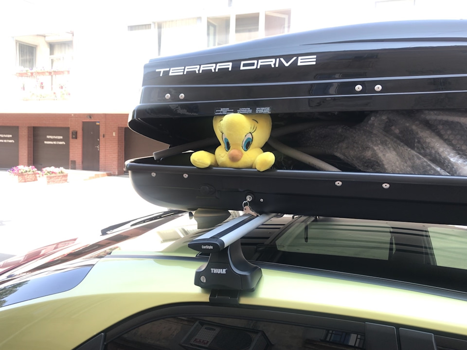 Перші кроки Ципу в супермодельному бізнесі 😄 5