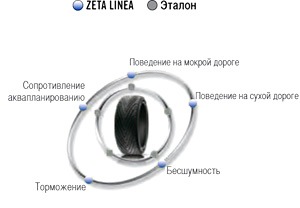 Нові тапки 3