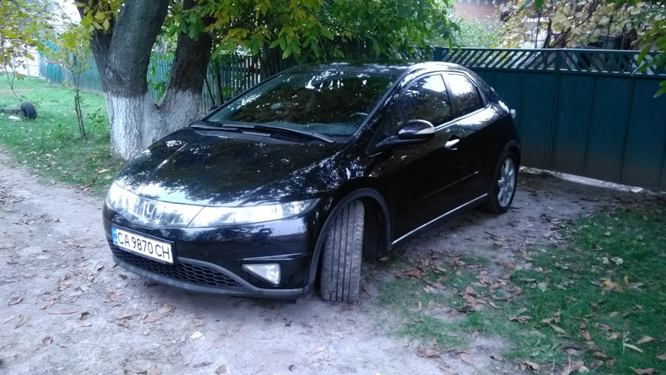 Зі святом Чеширський Кіт! 2