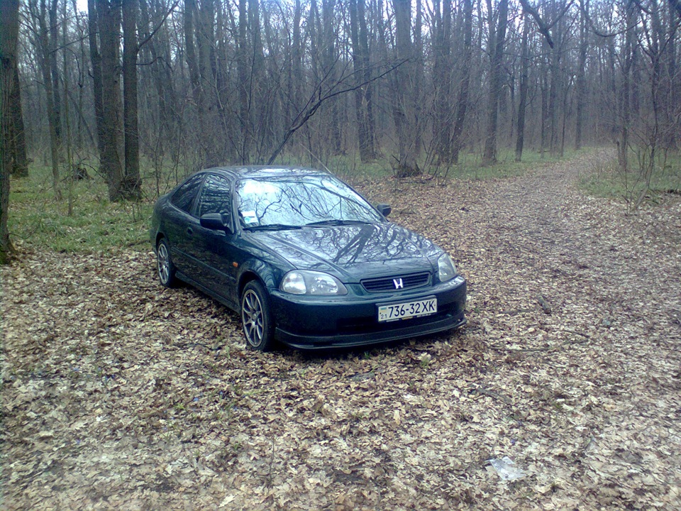 Цієї осені ... 3