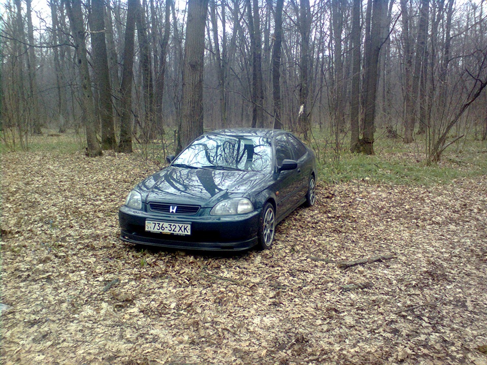 Цієї осені ... 2