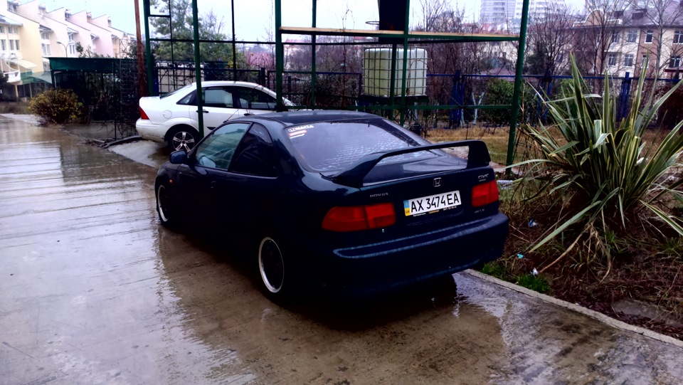 Продам сивку! 2