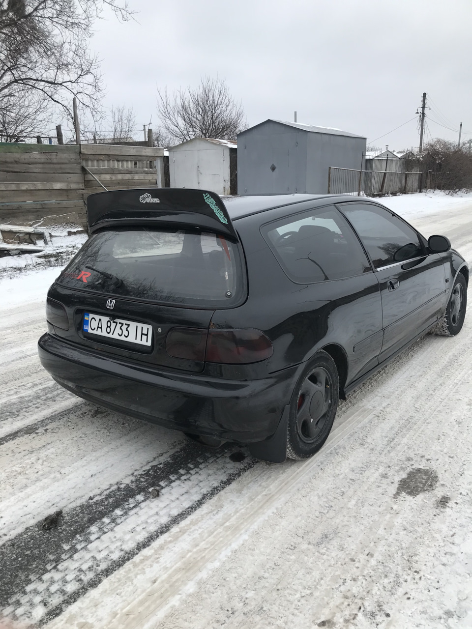 цуцик поїхав до Києва 5