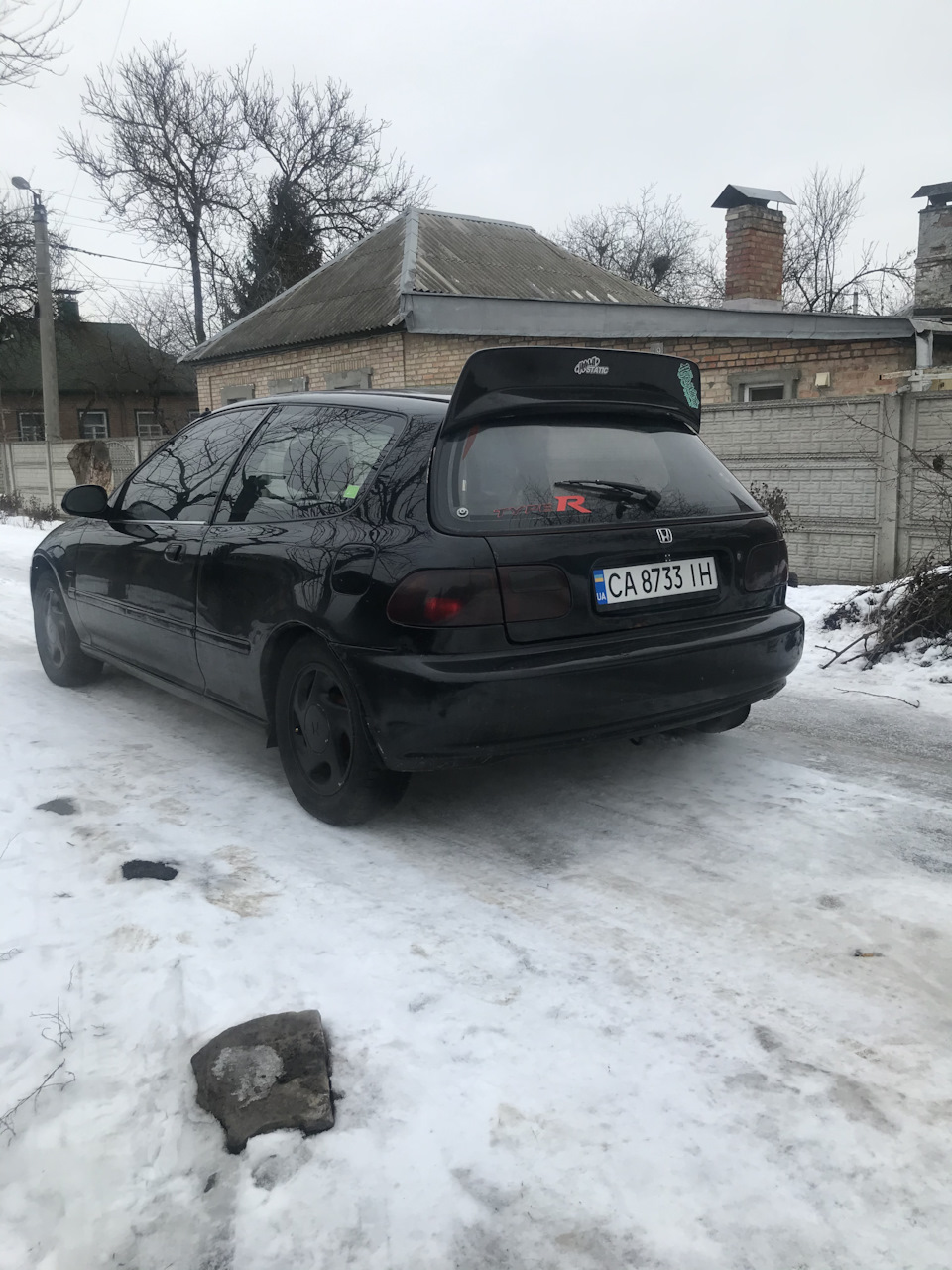 цуцик поїхав до Києва 3