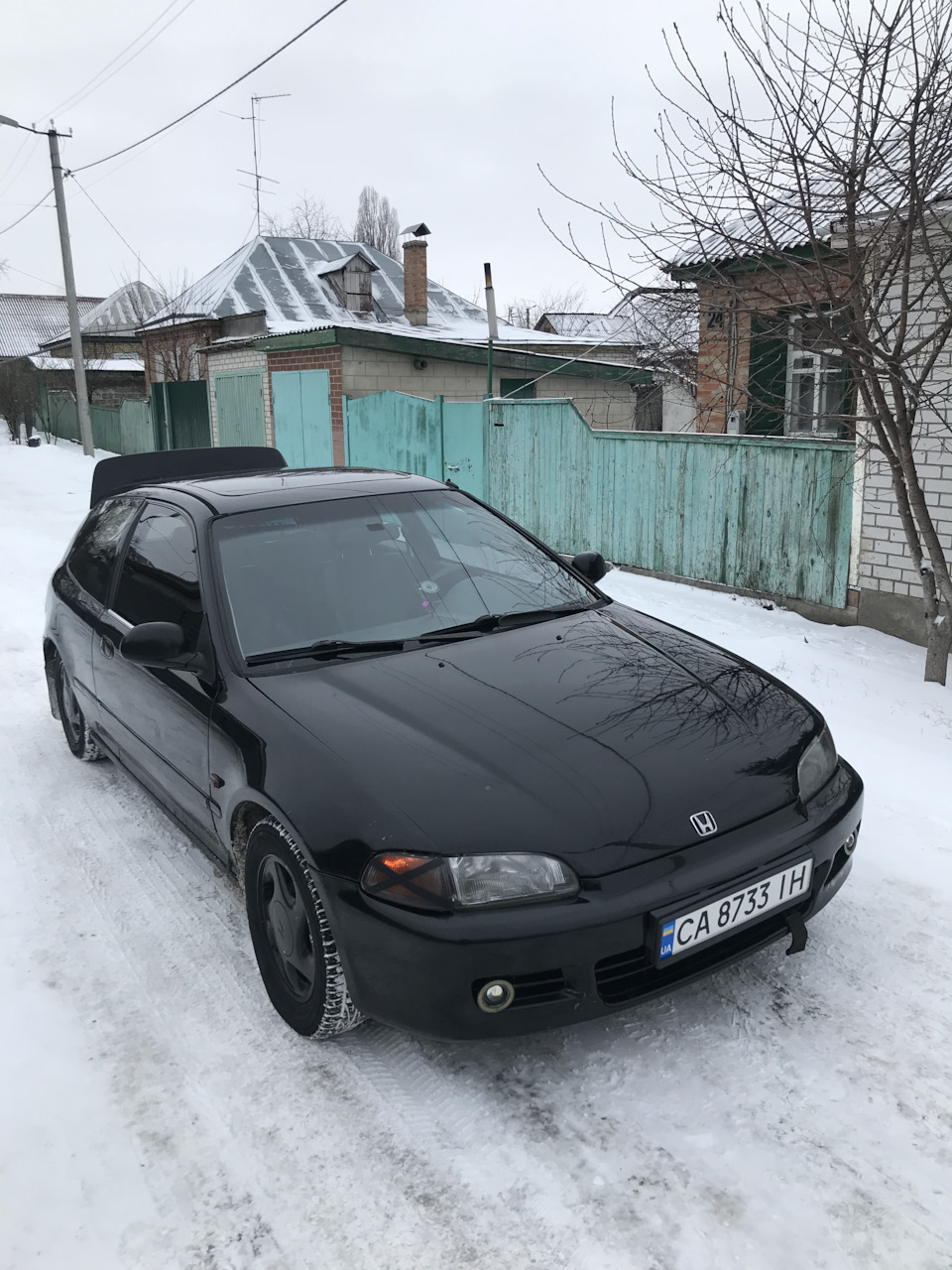 цуцик поїхав до Києва 1
