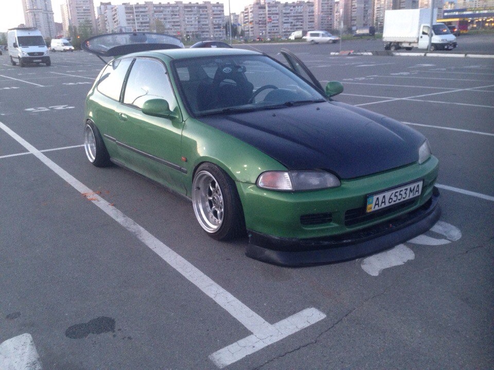 Нова губа) 1
