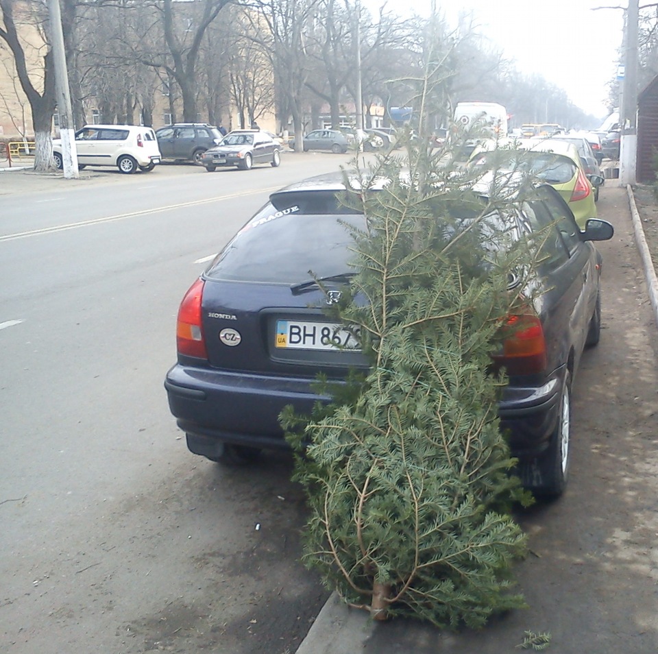 Операція З Новим Роком! або впхнути невпихуемое. 1