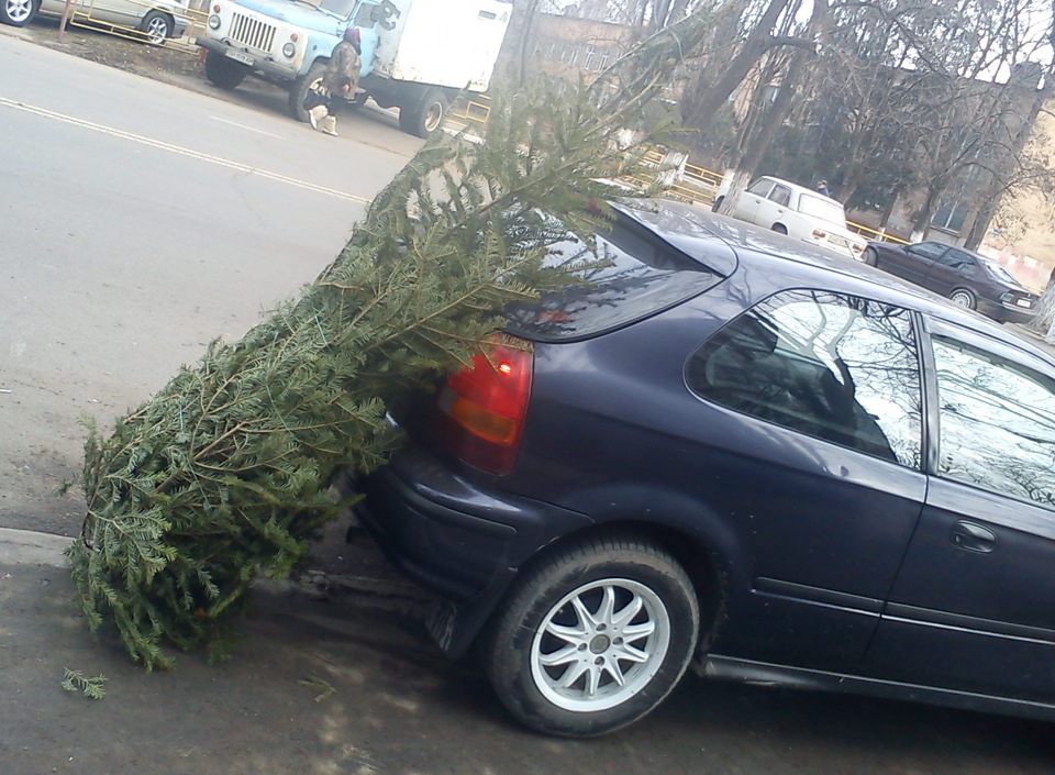 Операція З Новим Роком! або впхнути невпихуемое. 2