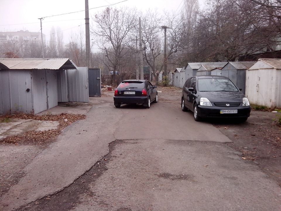 Віддав у добрі руки... 3
