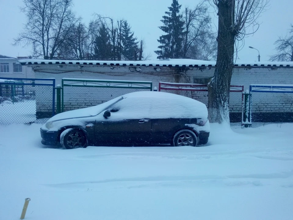 Ранковий нижданчик