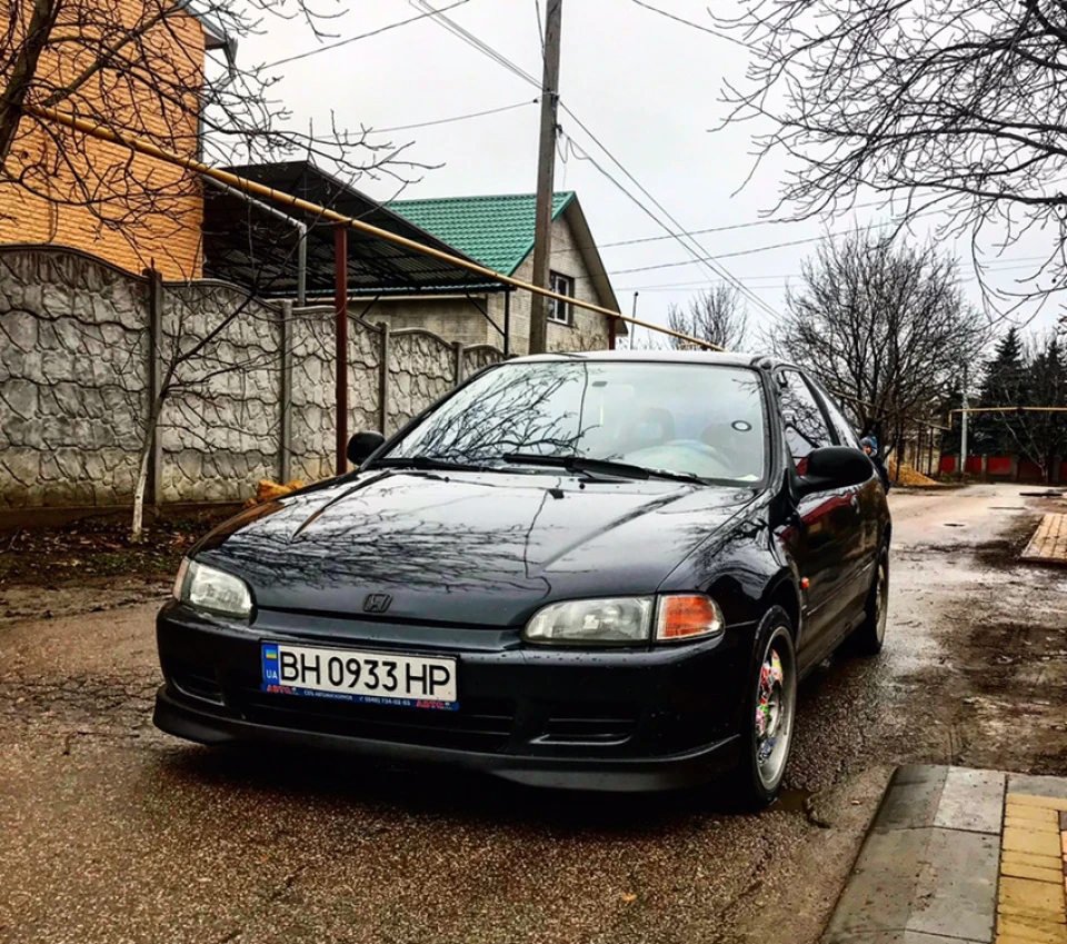 Знову вдома