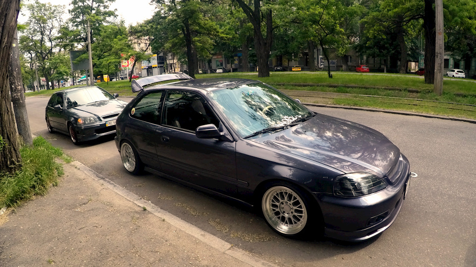 Продам Сівку 1