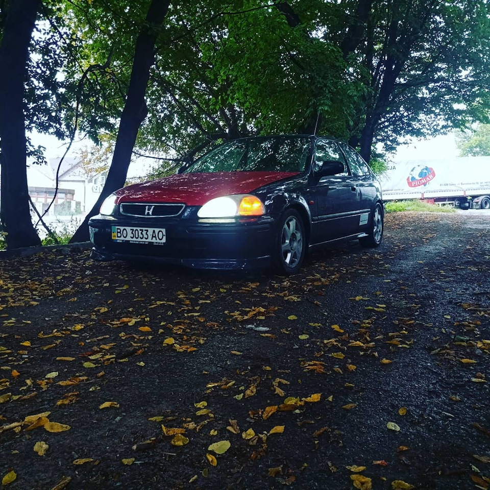 Просто пару фоток 1