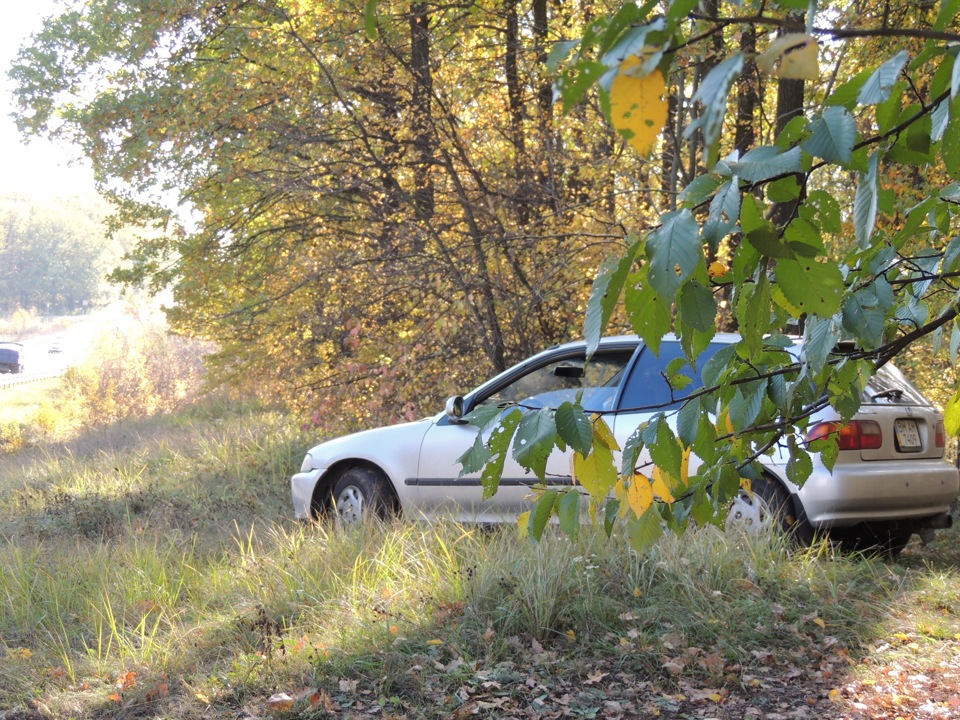 Осінній фотосет 3