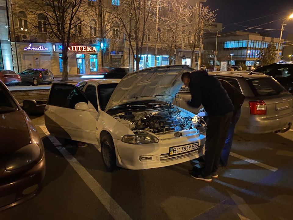 Стара добра зустріч Динозавріврів 2
