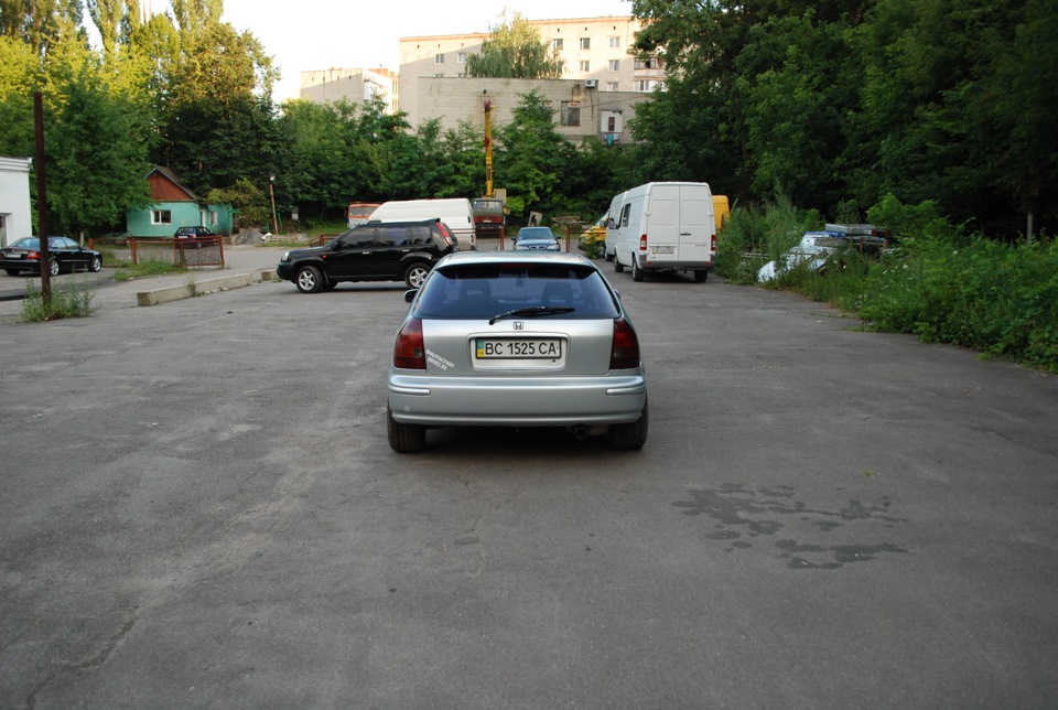 пару свіжих фото 3