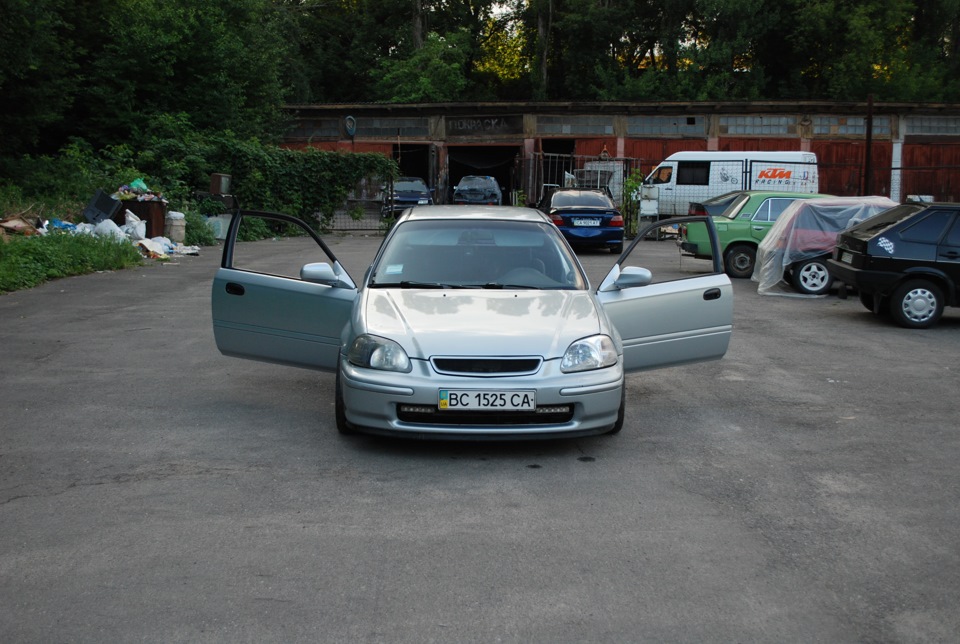 пару свіжих фото 5